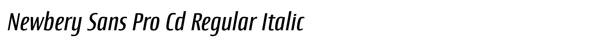 Newbery Sans Pro Cd Regular Italic image